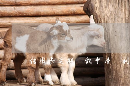 信用卡逾期 能申请 利息 信用卡逾期 能申请 利息